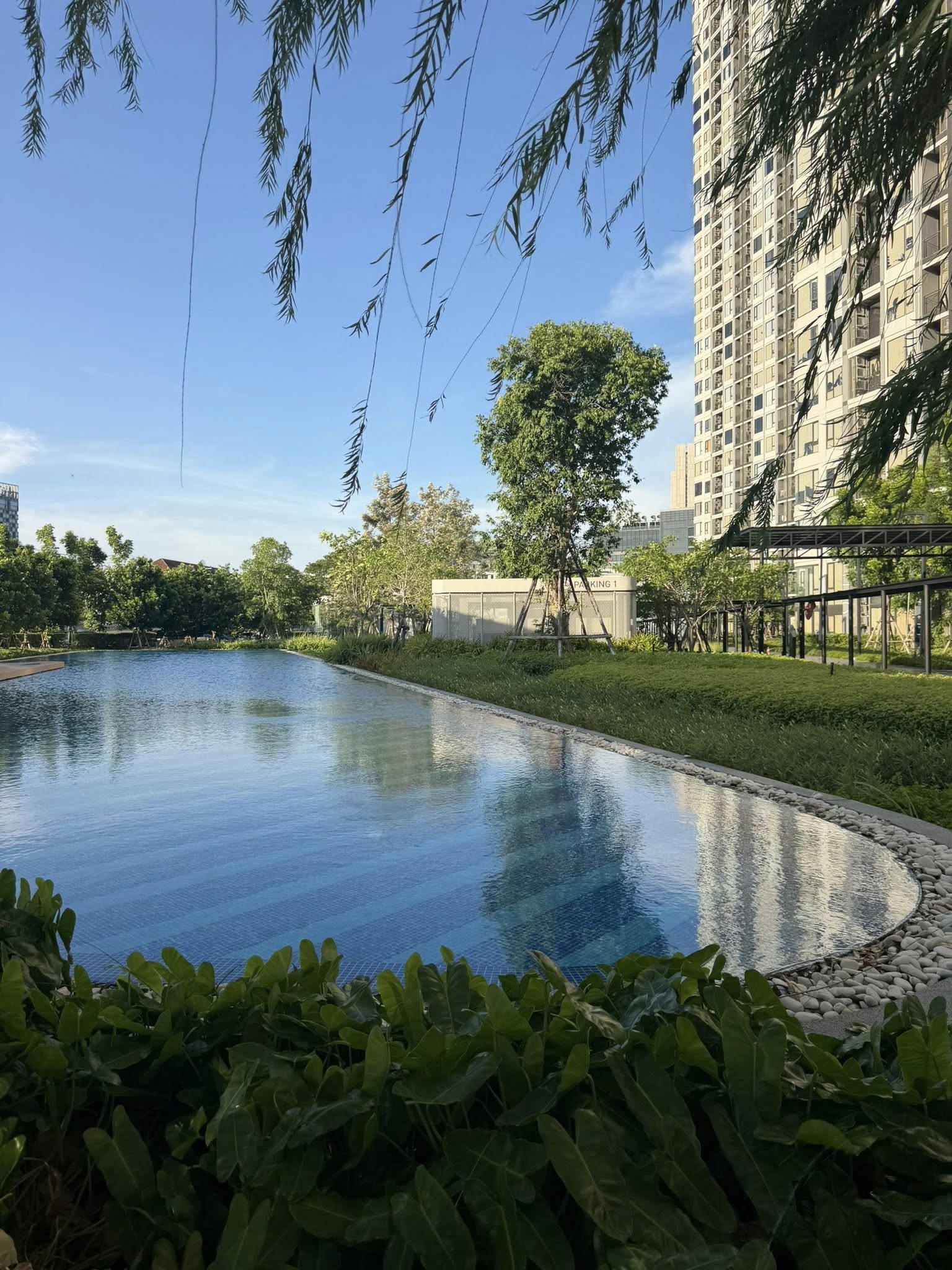 SKYRISE Avenue Sukhumvit 64 图片 1