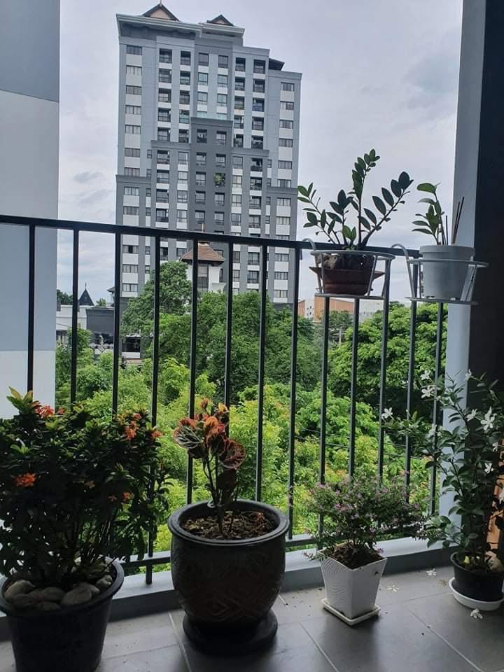 Condo The Nest Sukhumvit 71 图片 11