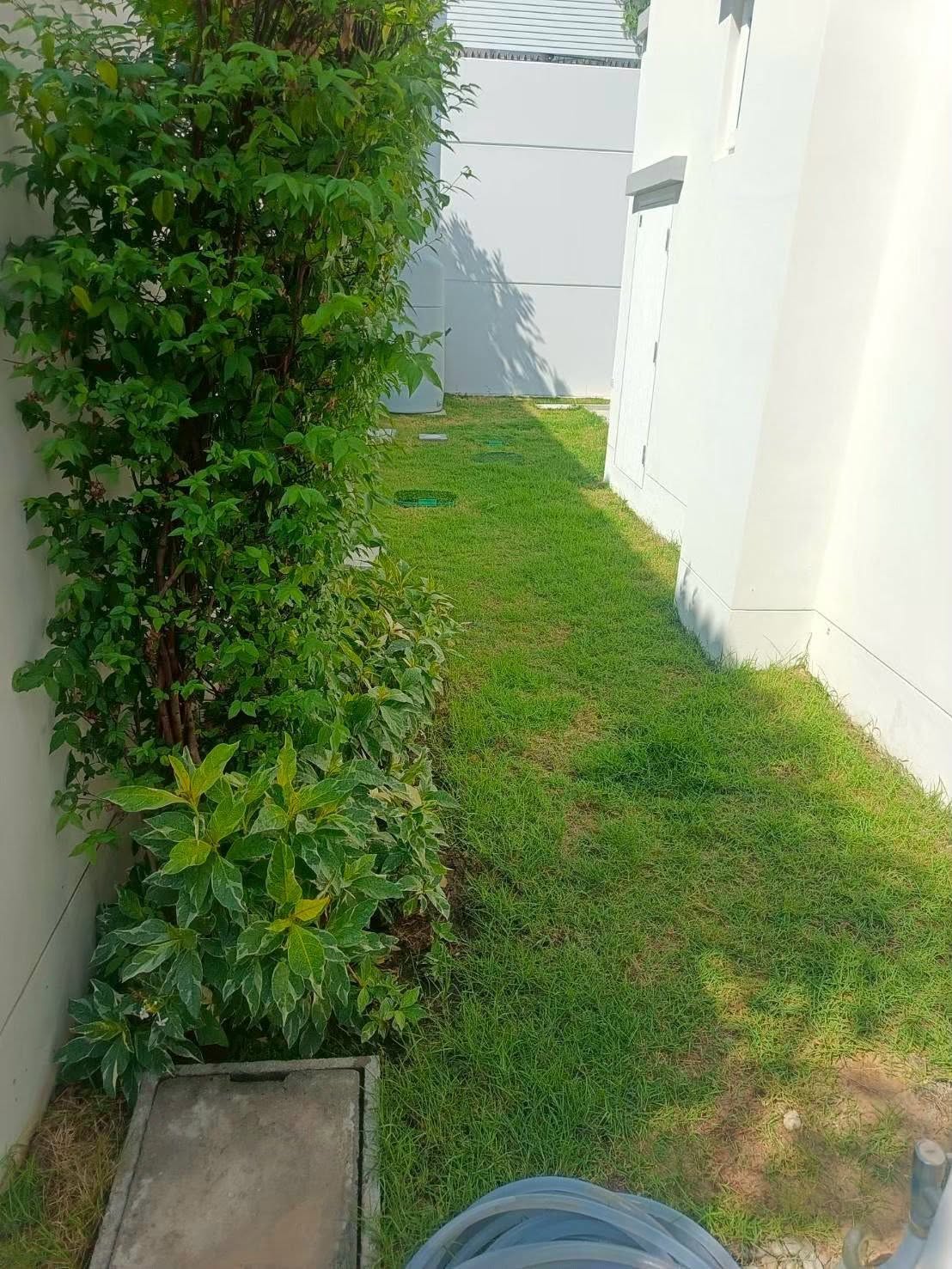 Villaggio 3 Srinakarin Bangna 图片 13