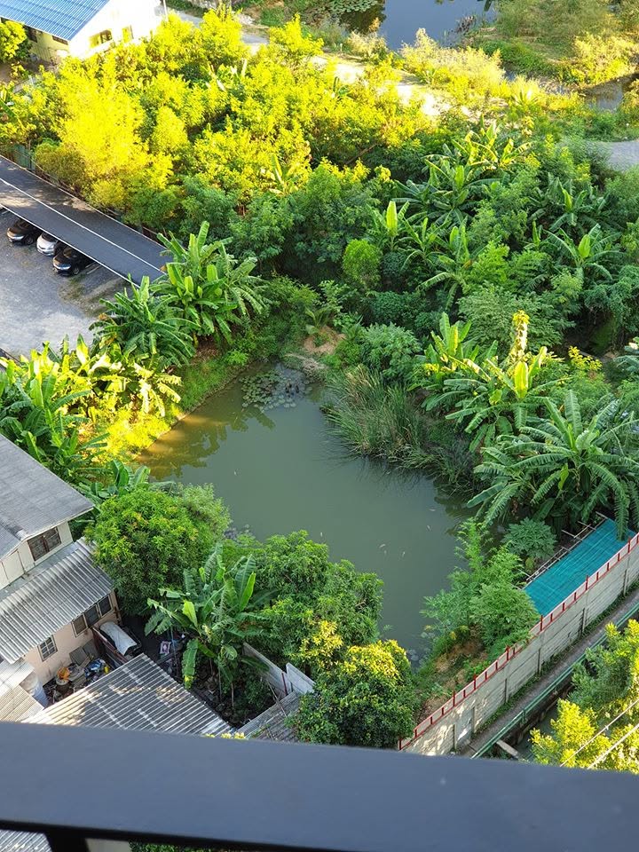 Chapter One Eco Ratchada-Huai Khwang 图片 12